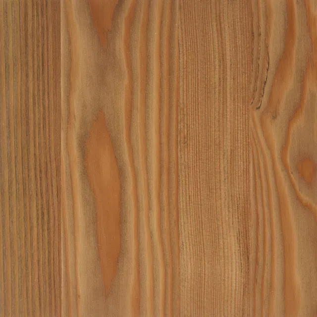 Walnut em Larício